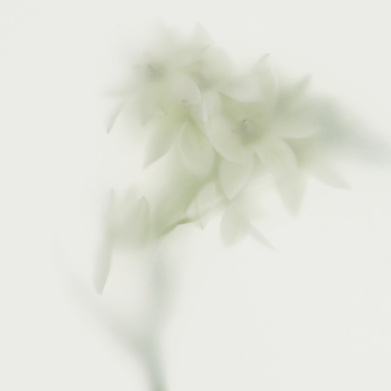 [Holiday] Essential Skin set