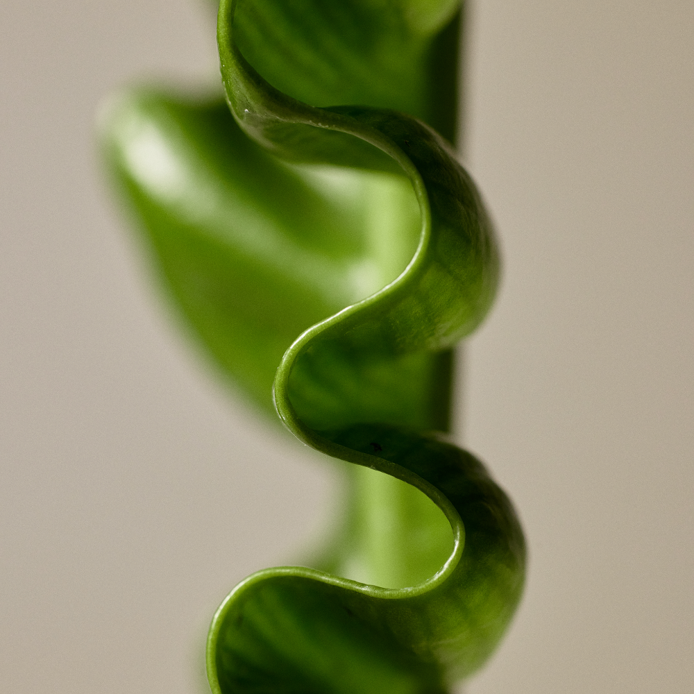 Wonder Veggie juicy Treatment Essence 150ml