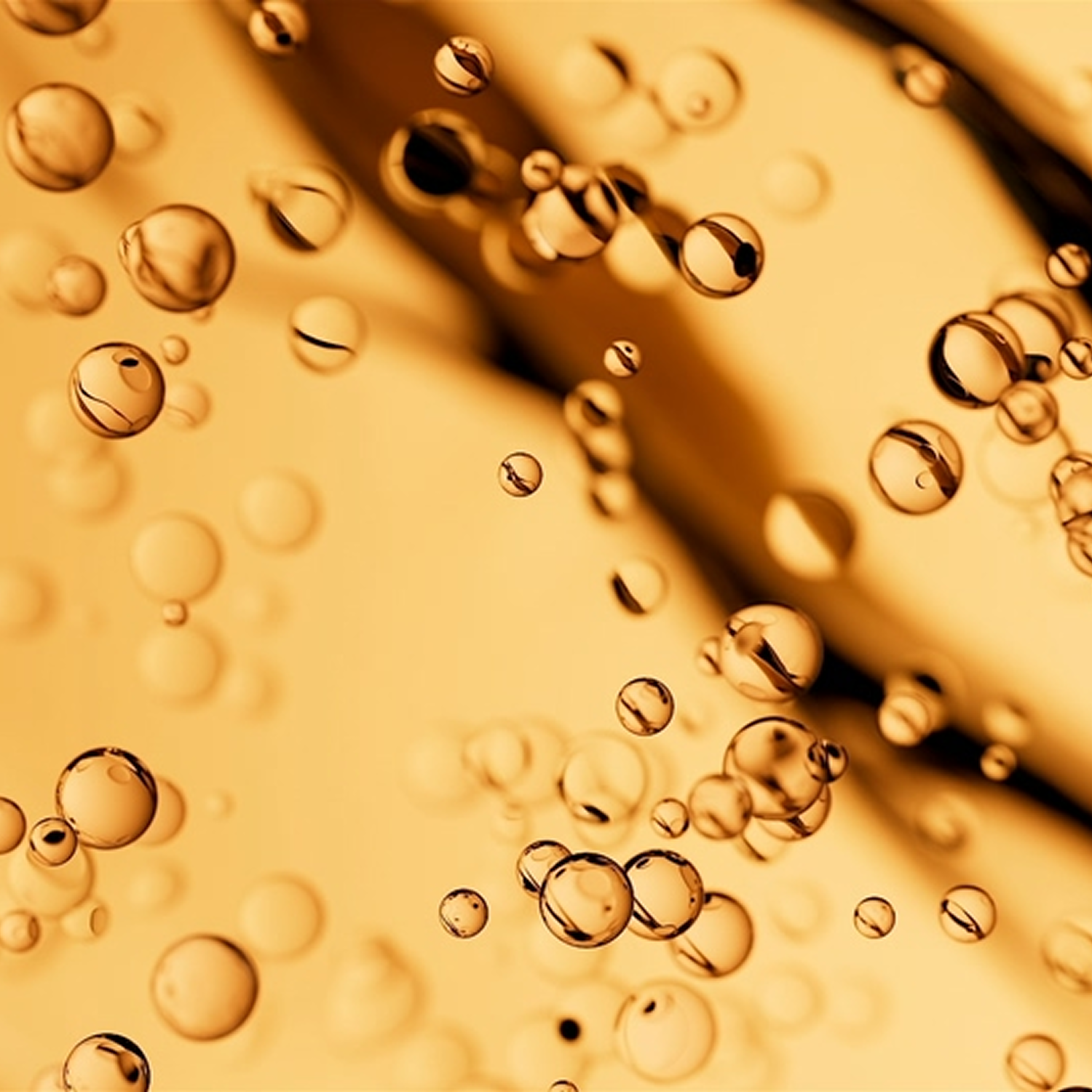 Moroccan Hair Oil 100ml